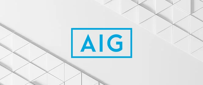 AIG Seguros